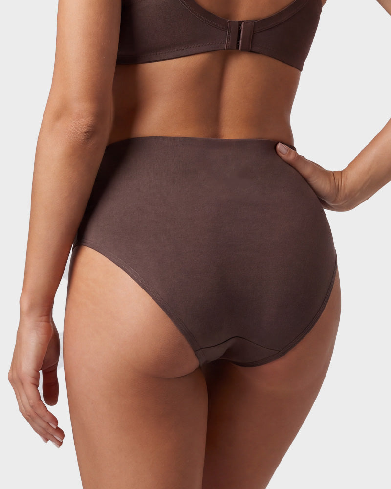 4 Pack Swan Embroidery High Waist Seamless Briefs