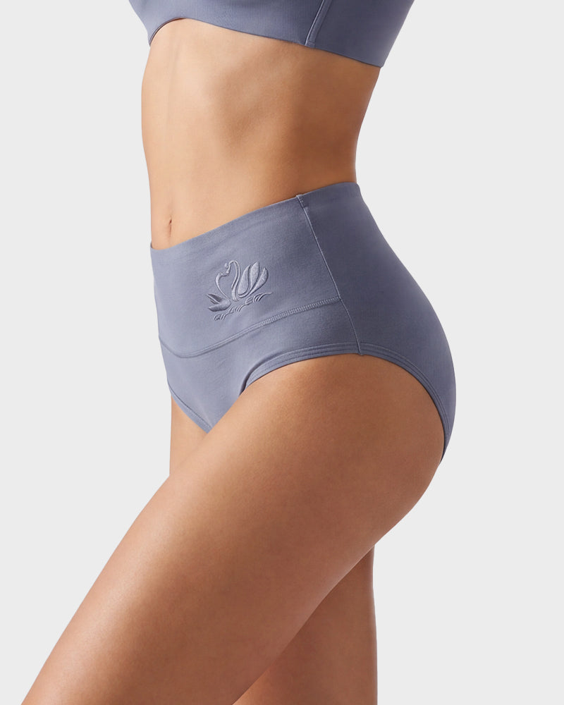 4 Pack Swan Embroidery High Waist Seamless Briefs