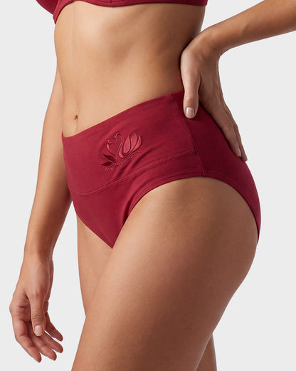 4 Pack Swan Embroidery High Waist Seamless Briefs
